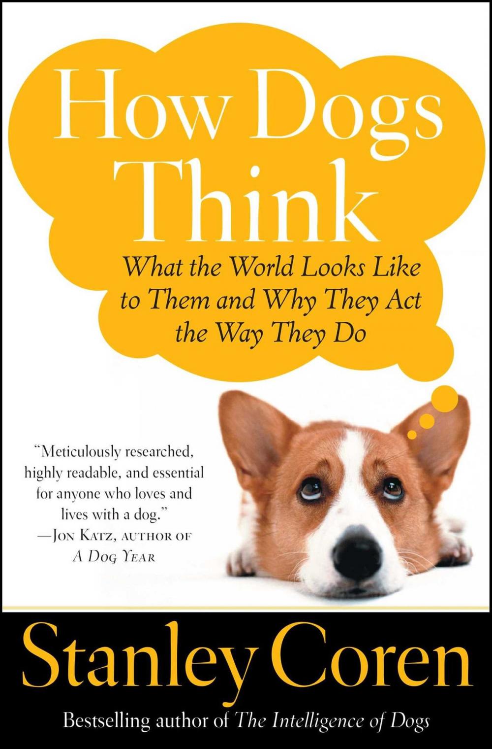 Big bigCover of How Dogs Think