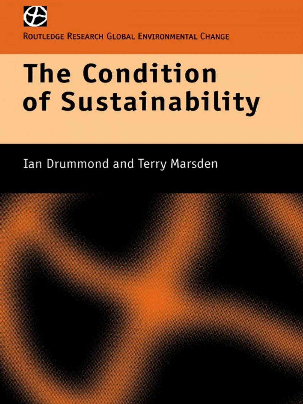 Big bigCover of The Condition of Sustainability