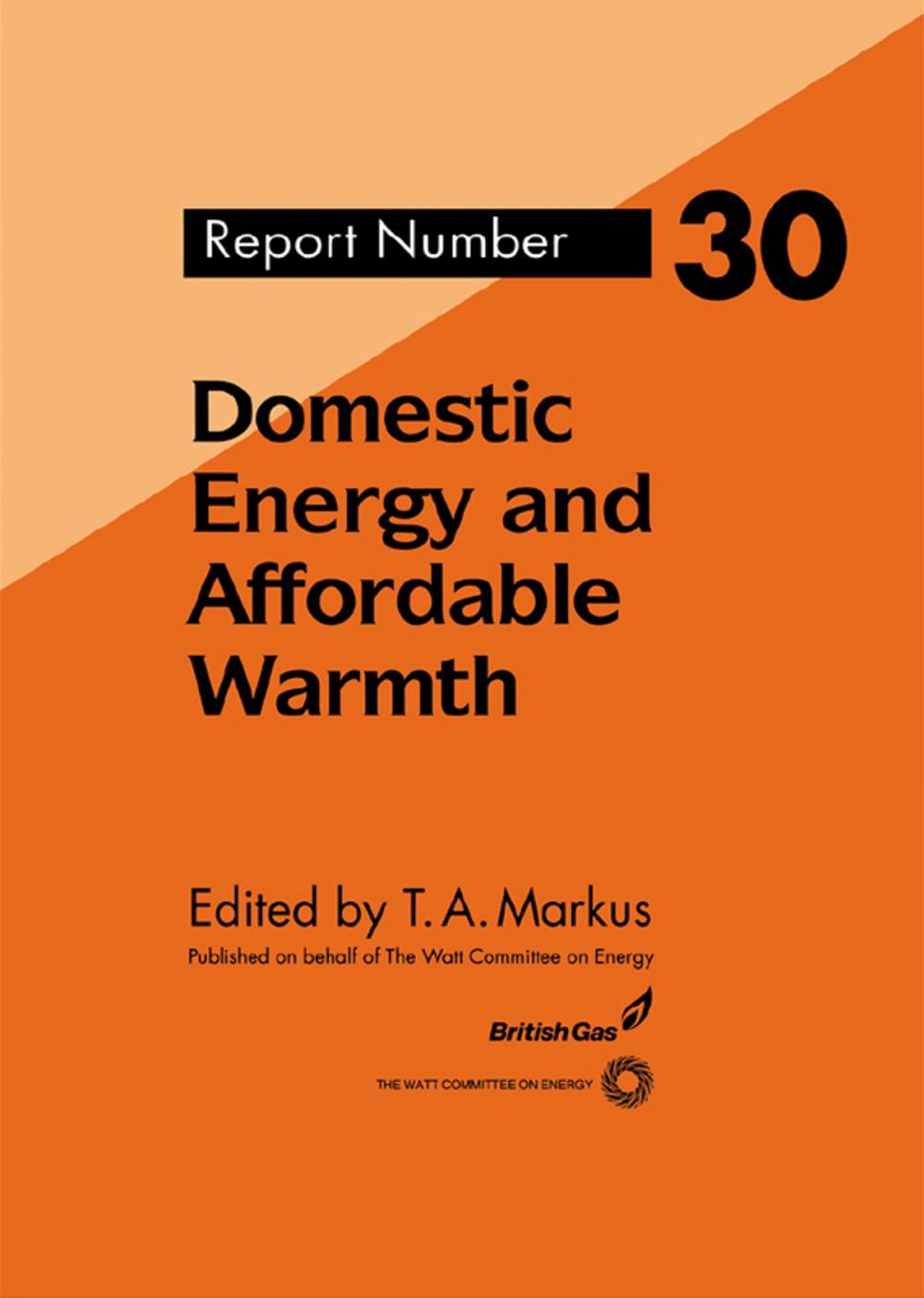 Big bigCover of Domestic Energy and Affordable Warmth