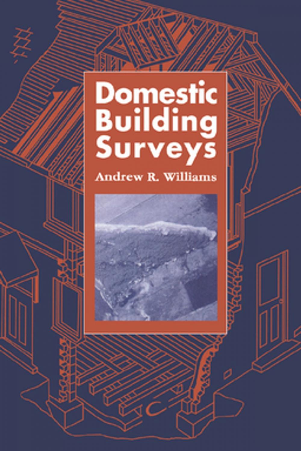 Big bigCover of Domestic Building Surveys