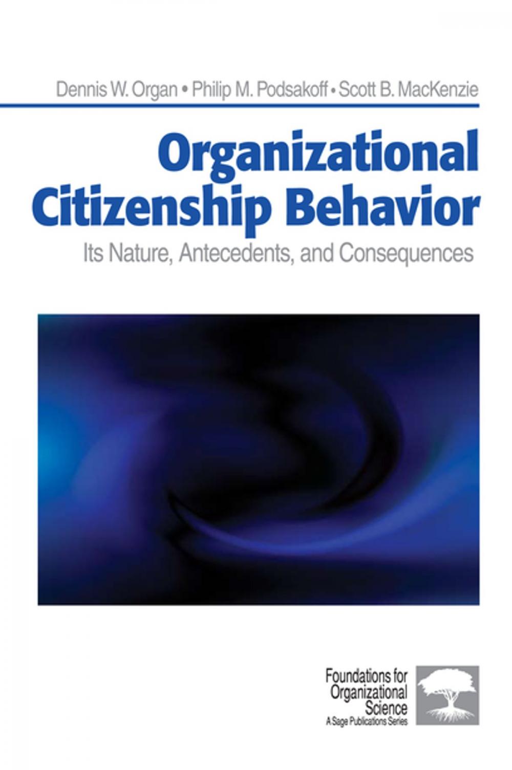 Big bigCover of Organizational Citizenship Behavior