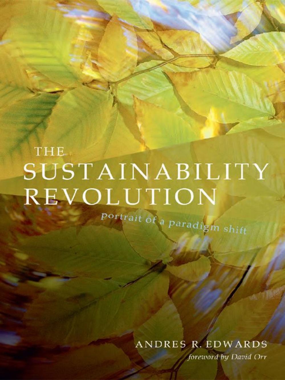 Big bigCover of Sustainability Revolution