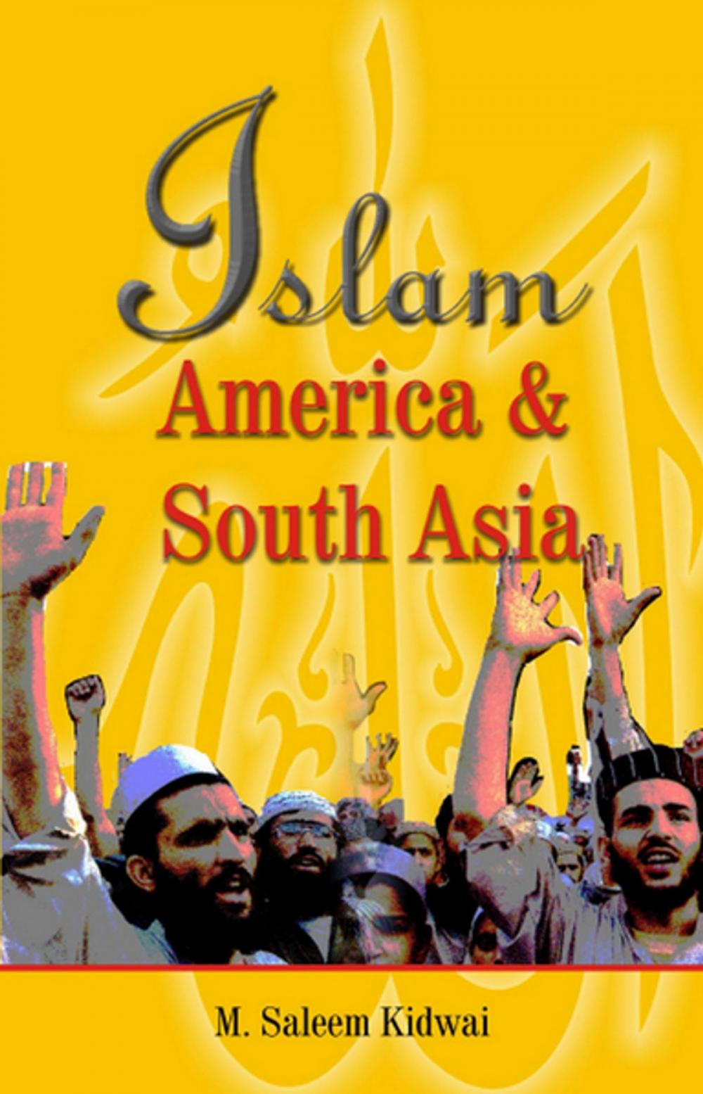 Big bigCover of Islam, America & South Asia