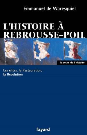 Cover of the book L'histoire à rebrousse-poil by Edouard Balladur