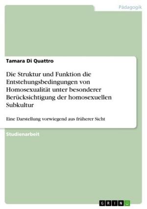 Cover of the book Die Struktur und Funktion die Entstehungsbedingungen von Homosexualität unter besonderer Berücksichtigung der homosexuellen Subkultur by Daniel Lois