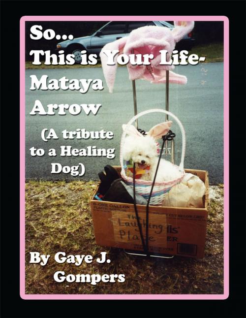 Cover of the book So...This Is Your Life- Mataya Arrow by Gaye J. Gompers, AuthorHouse