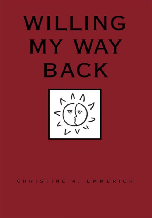 Cover of the book Willing My Way Back by Christine Emmerich, Xlibris US