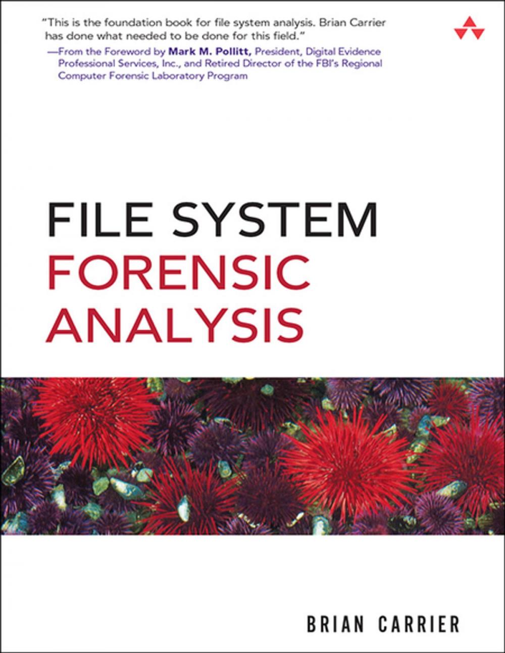Big bigCover of File System Forensic Analysis