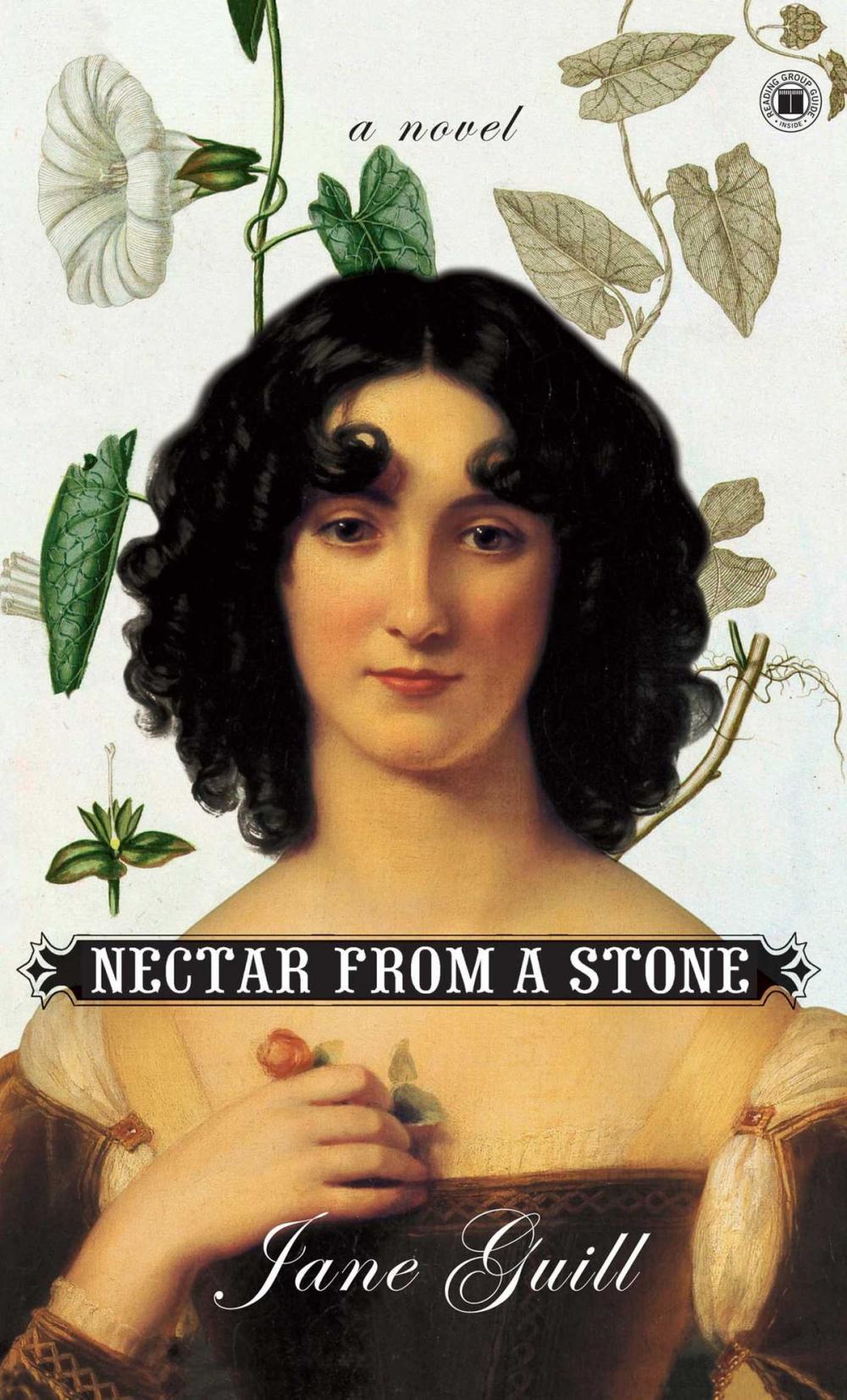 Big bigCover of Nectar from a Stone