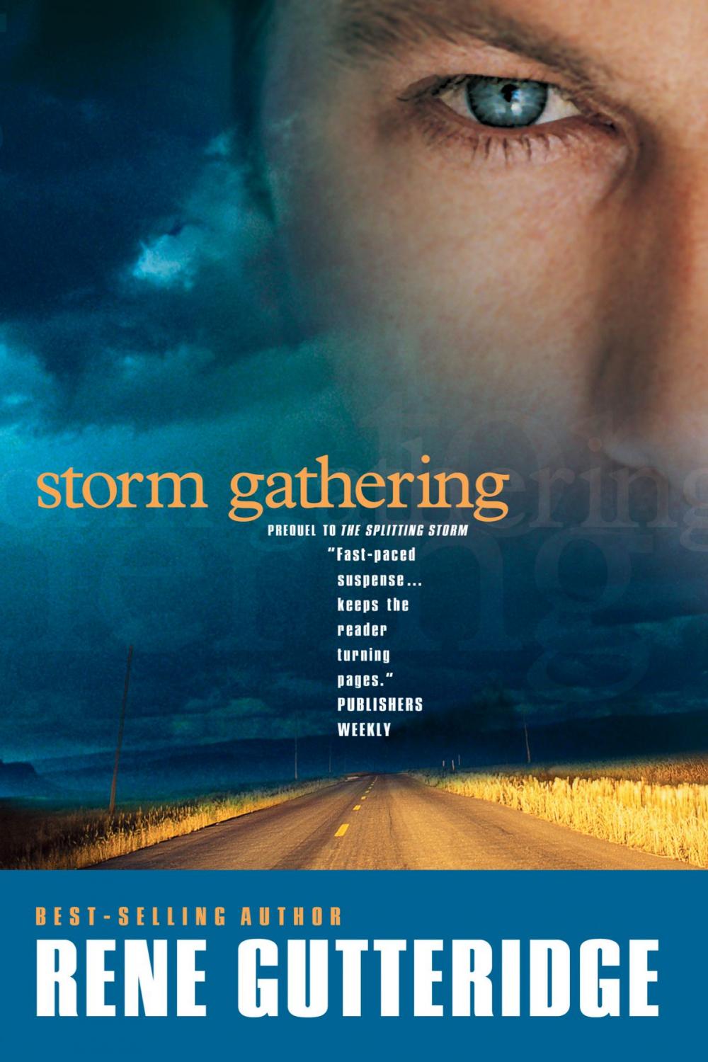 Big bigCover of Storm Gathering