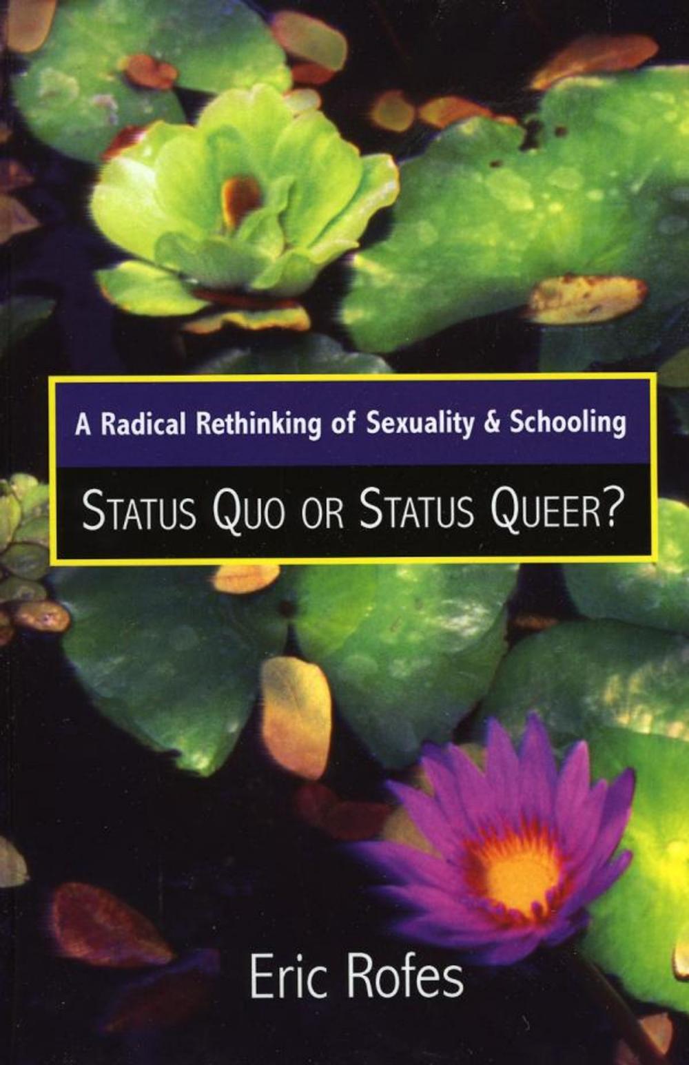 Big bigCover of A Radical Rethinking of Sexuality and Schooling