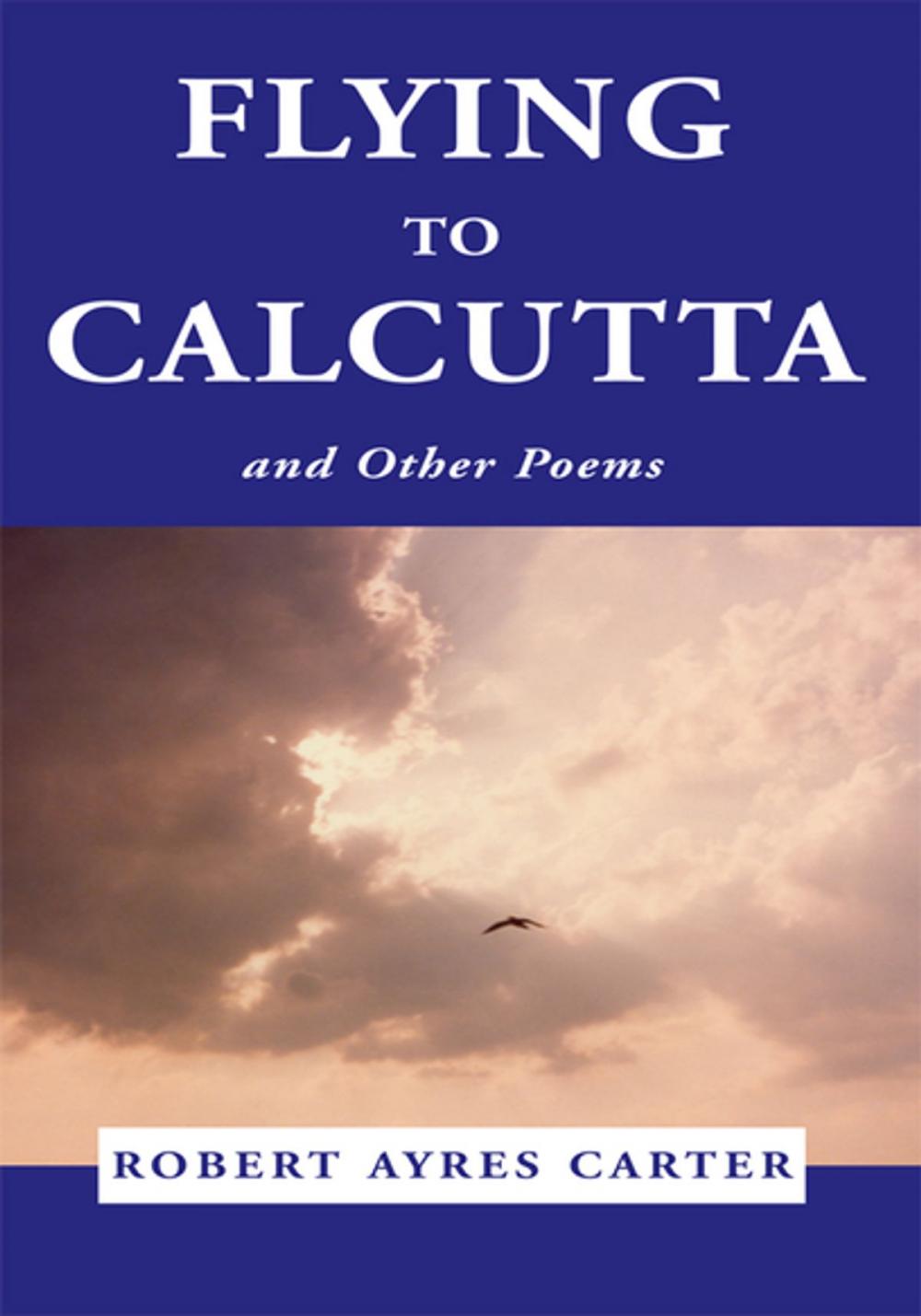 Big bigCover of Flying to Calcutta