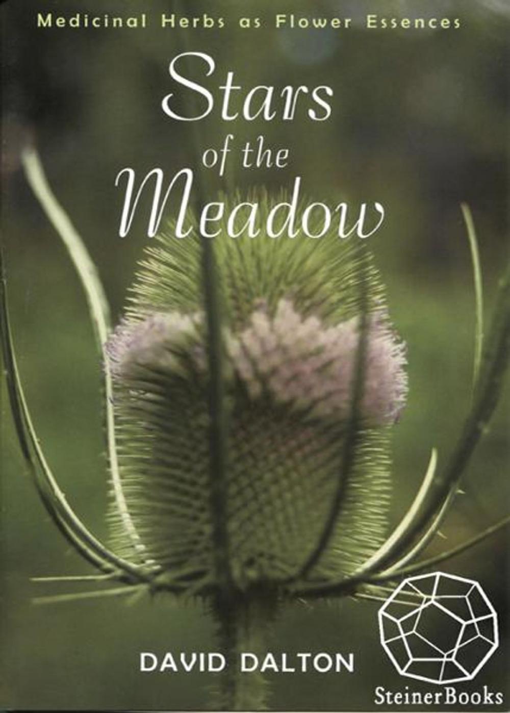 Big bigCover of Stars of the Meadow: Medicinal Herbs As Flower Essences