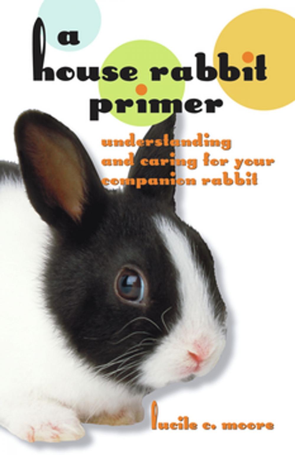 Big bigCover of A House Rabbit Primer