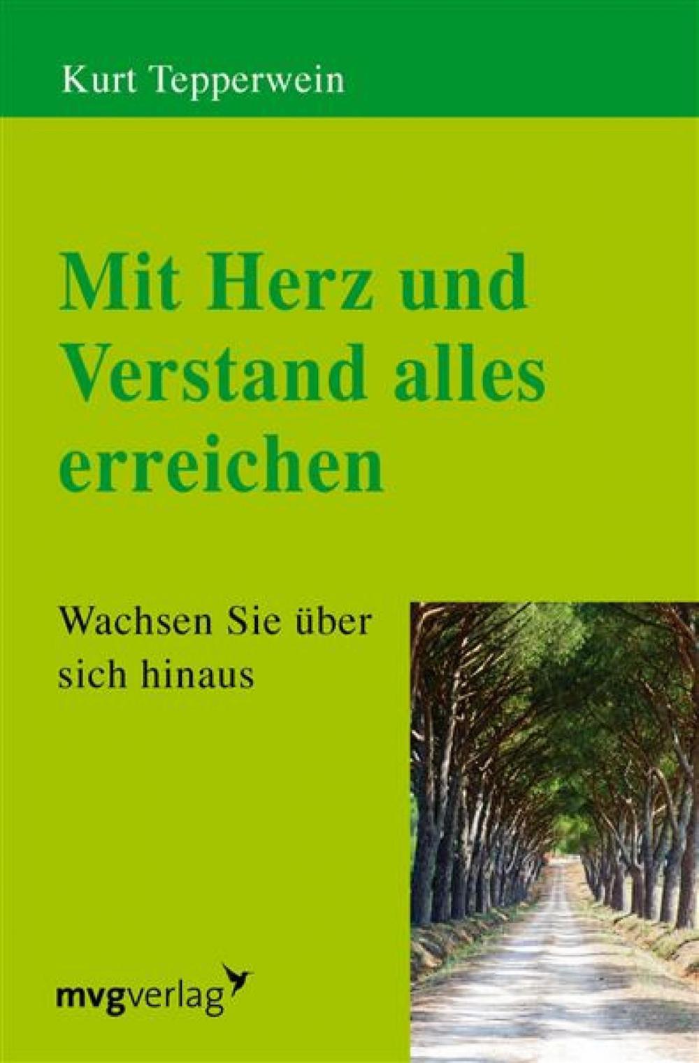 Big bigCover of Mit Herz und Verstand alles erreichen