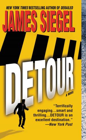 Cover of the book Detour by Dana Perino