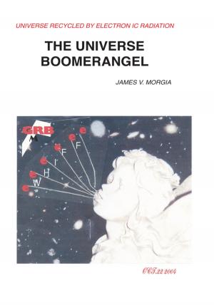 Book cover of The Universe Boomerangel