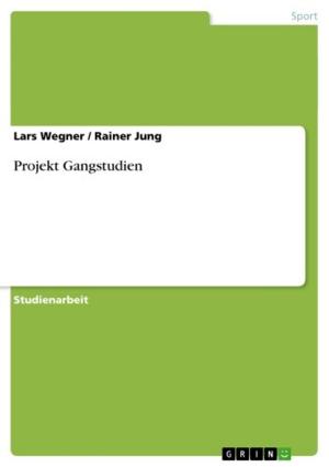 Cover of the book Projekt Gangstudien by Martina Possel