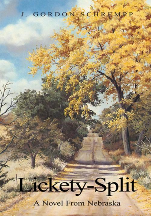 Cover of the book Lickety-Split by J. Gordon Schrempp, Xlibris US