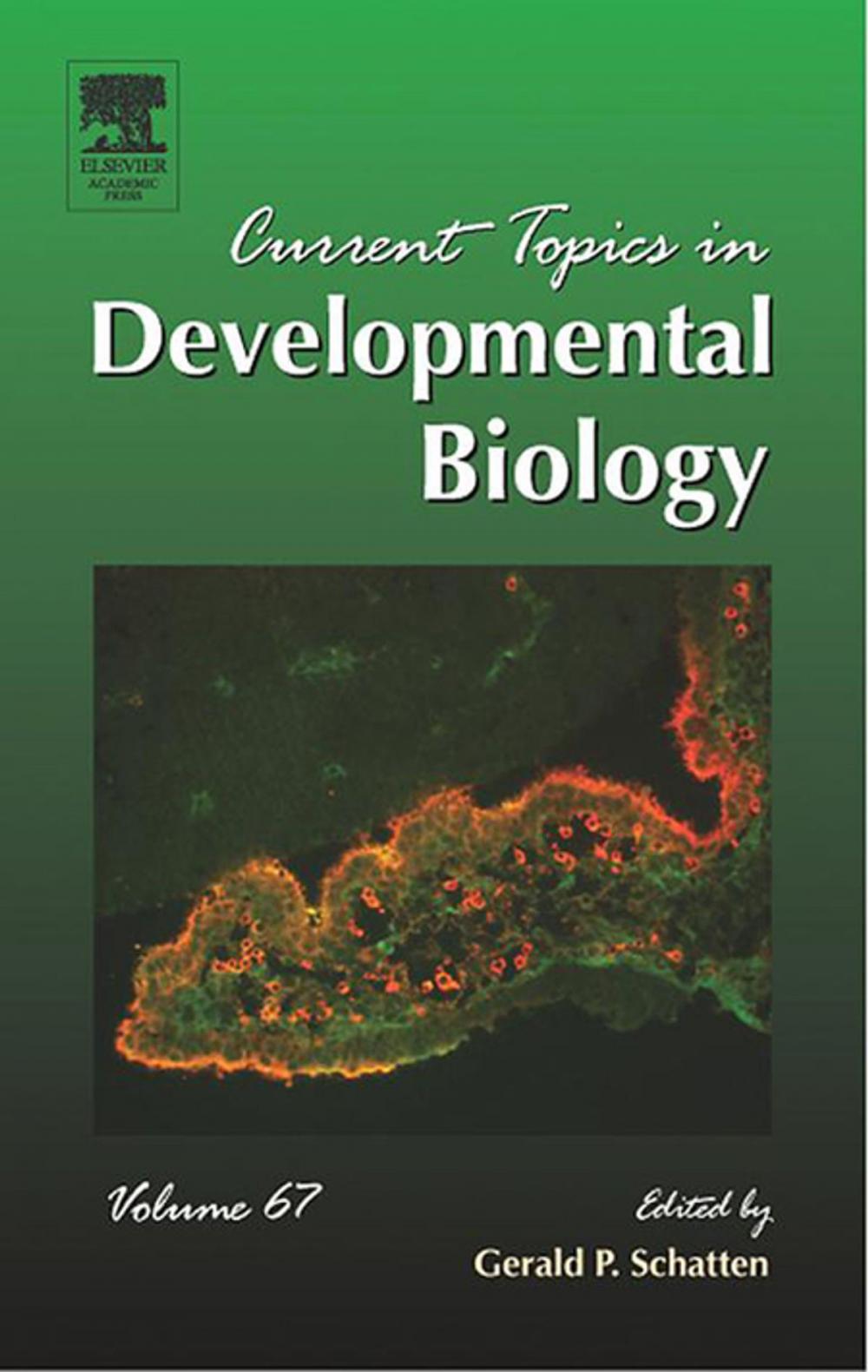 Big bigCover of Current Topics in Developmental Biology