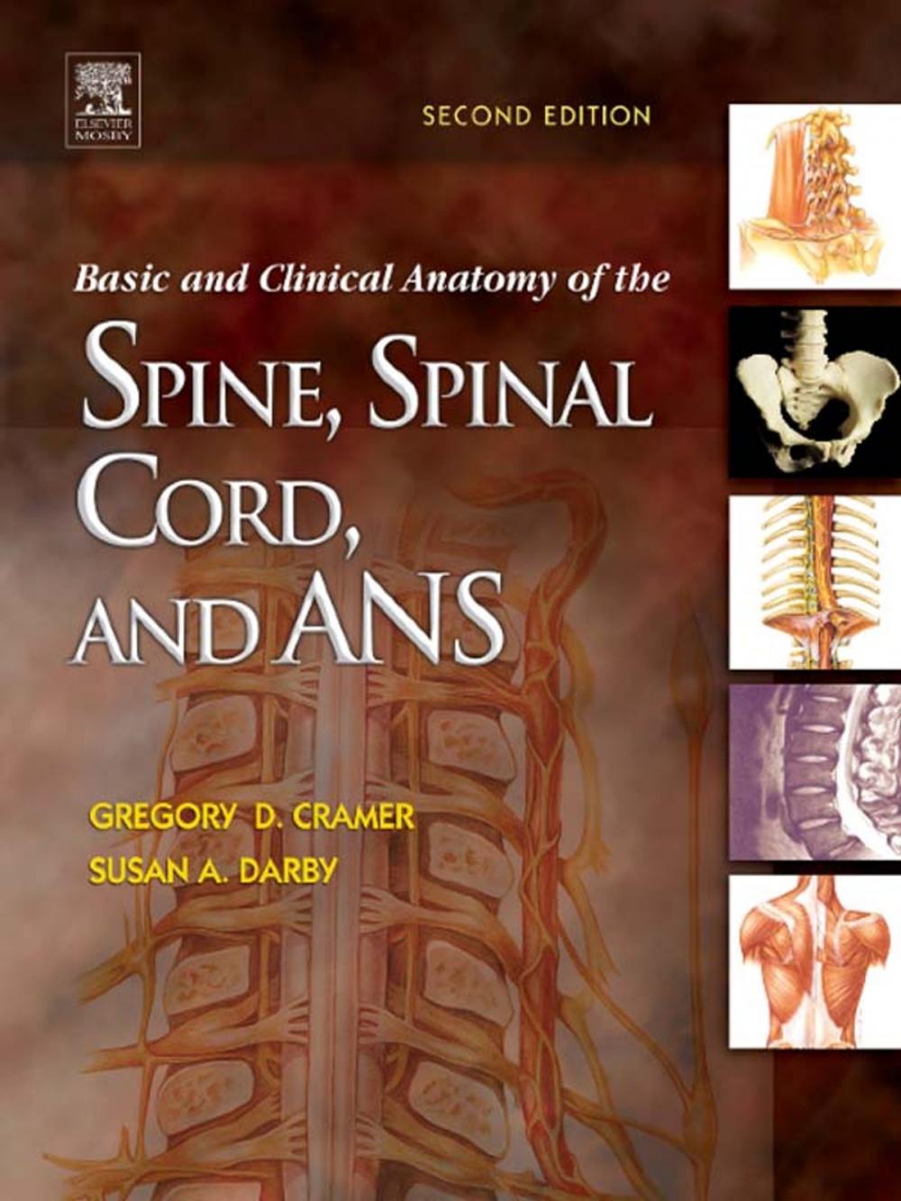 Big bigCover of Basic and Clinical Anatomy of the Spine, Spinal Cord, and ANS - E-Book