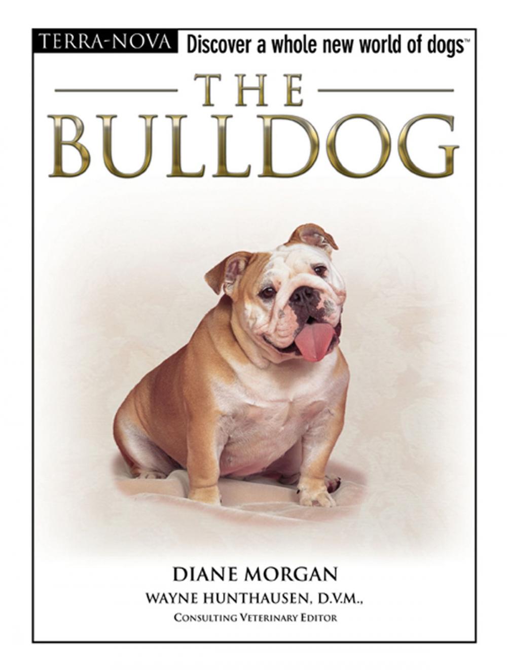 Big bigCover of The Bulldog