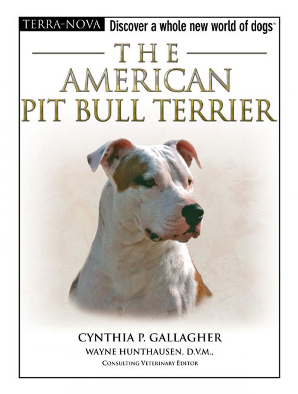 Big bigCover of American Pit Bull Terrier