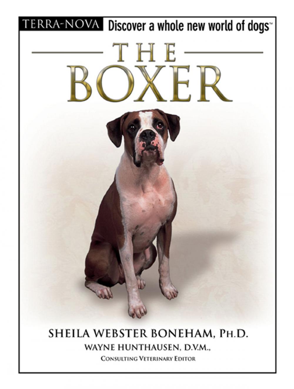 Big bigCover of The Boxer