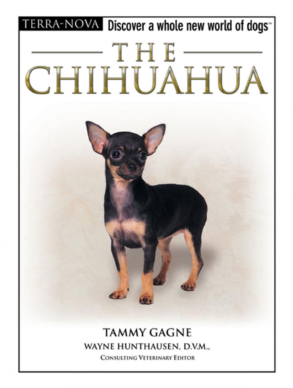 Big bigCover of The Chihuahua