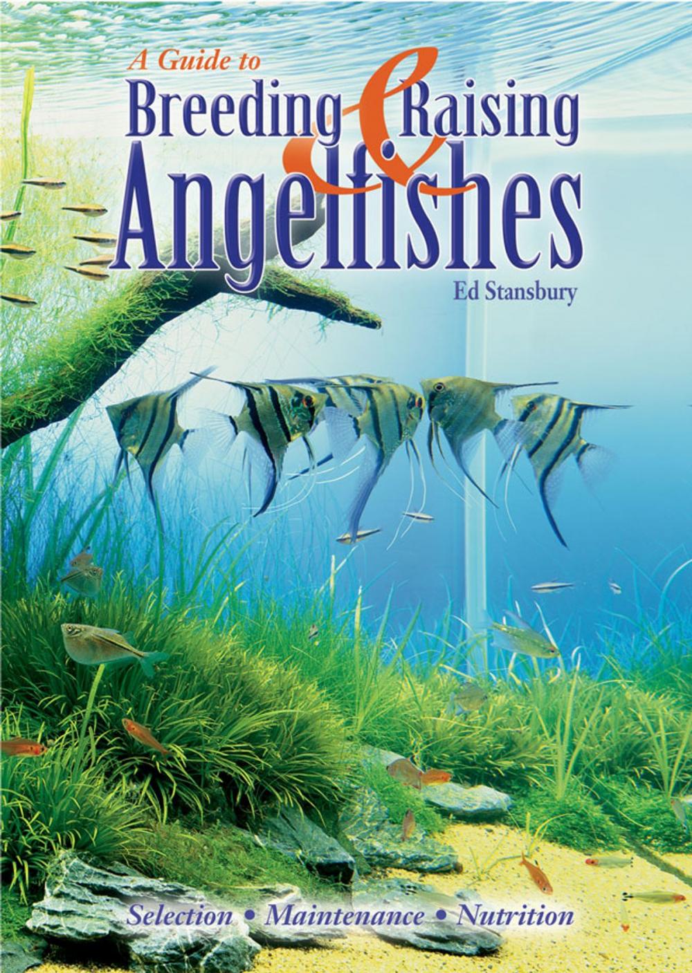 Big bigCover of Breeding & Raising Angelfishes