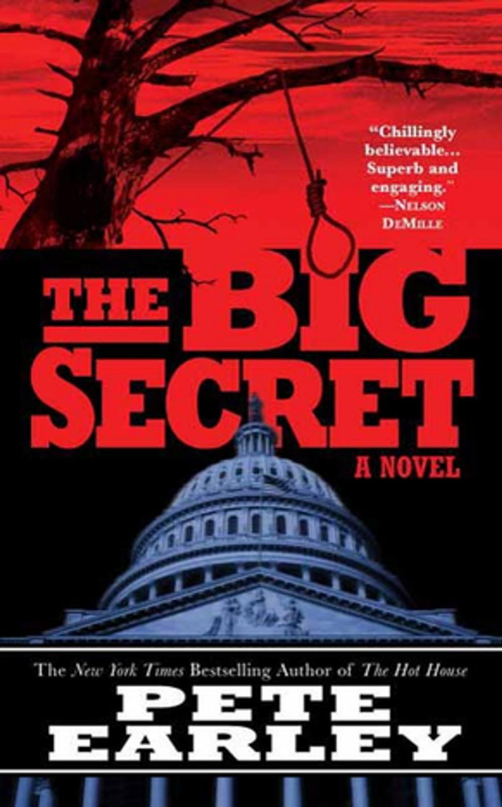 Big bigCover of The Big Secret