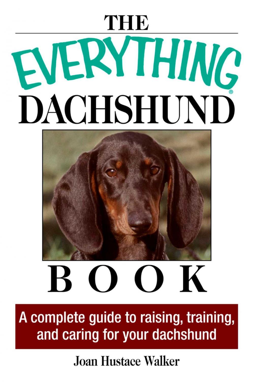 Big bigCover of The Everything Daschund Book