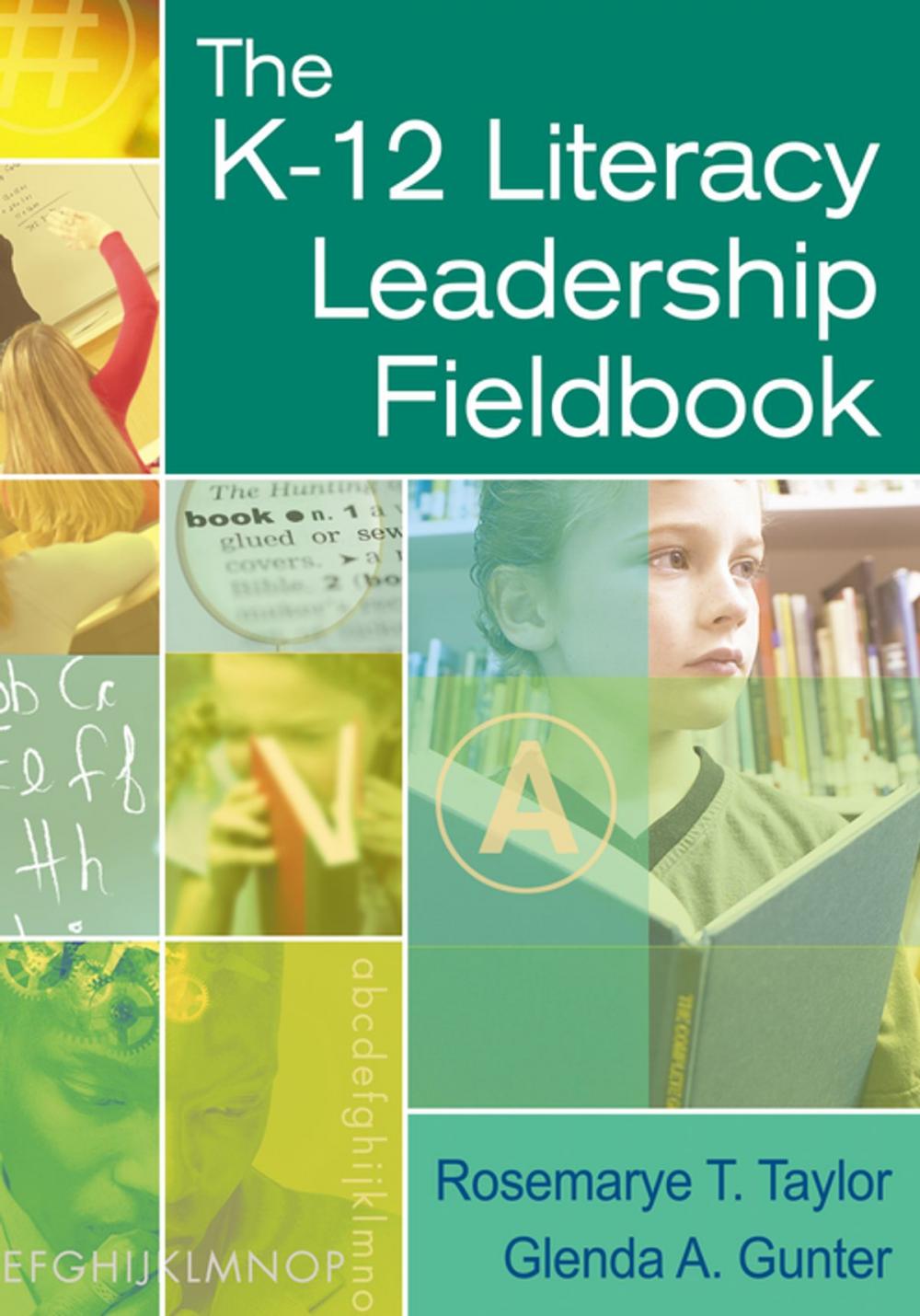 Big bigCover of The K-12 Literacy Leadership Fieldbook