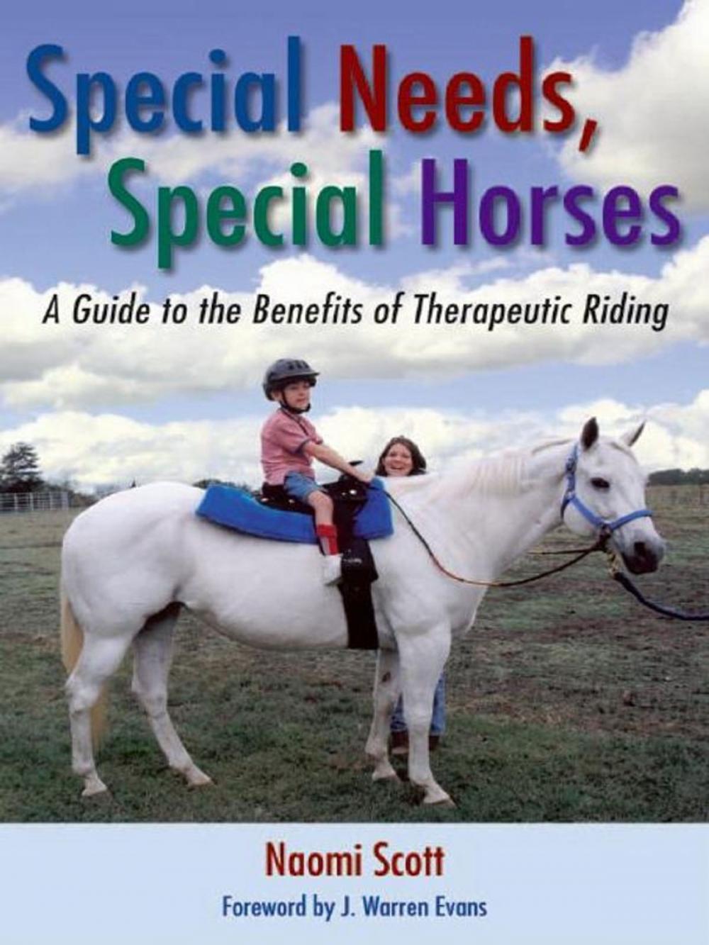 Big bigCover of Special Needs Special Horses: A Guide to the Benefits of Therapeutic Riding