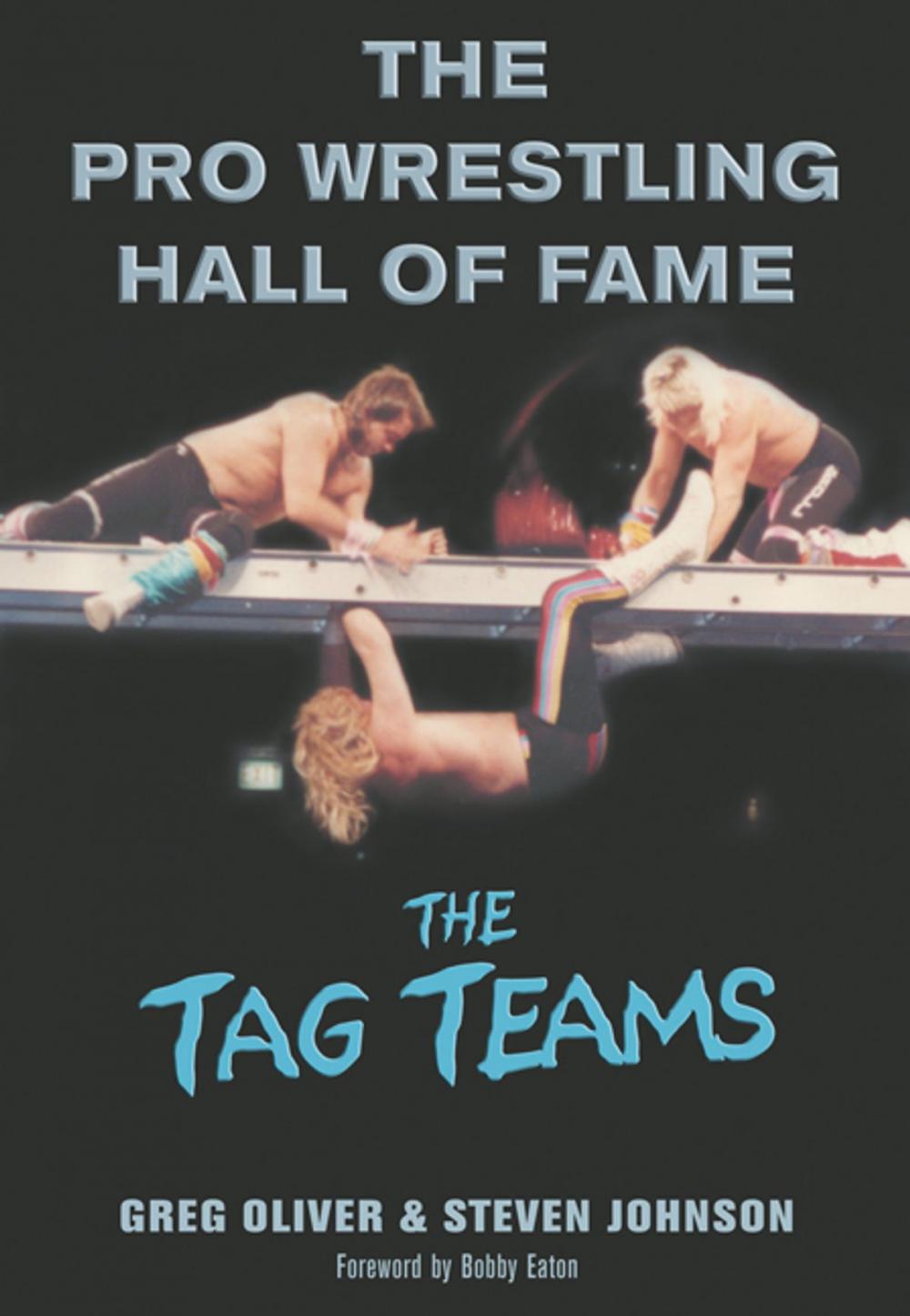 Big bigCover of Pro Wrestling Hall of Fame, The