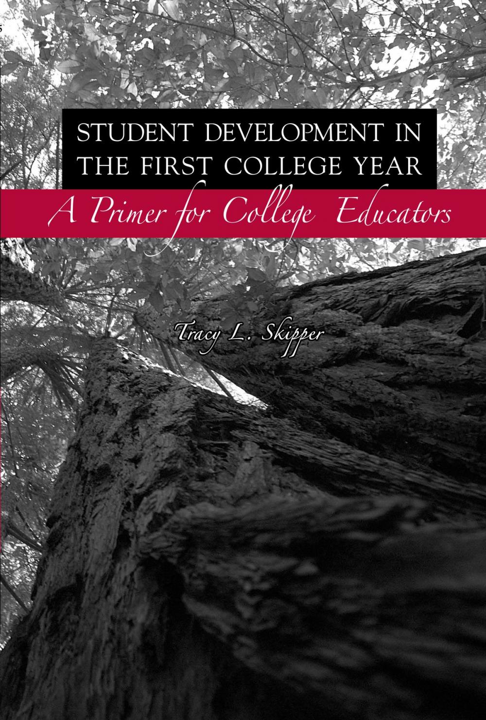 Big bigCover of Student Development in the First College Year