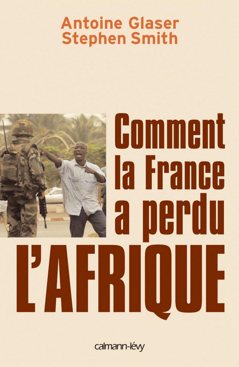 Big bigCover of Comment la France a perdu l'Afrique
