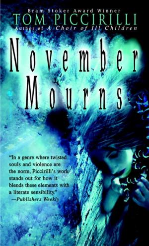 Cover of the book November Mourns by M.R Maze