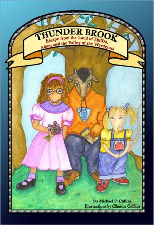 Cover of Thunder Brook
