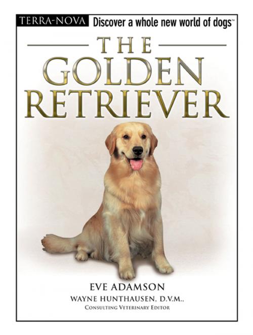 Cover of the book The Golden Retriever by Eve Adamson, TFH Publications, Inc.