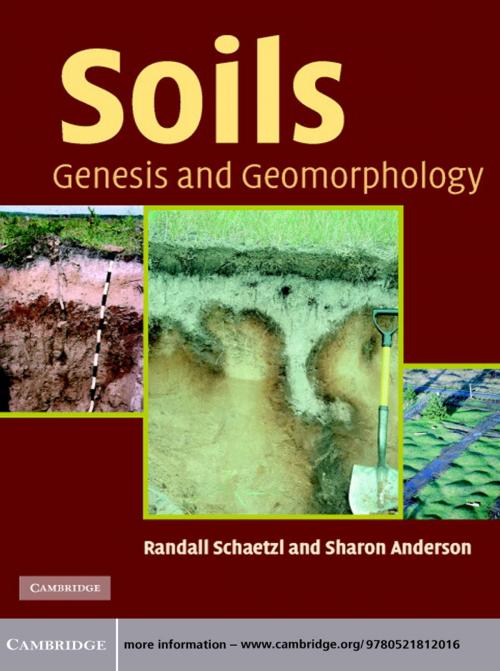 Cover of the book Soils by Randall J. Schaetzl, Sharon Anderson, Cambridge University Press