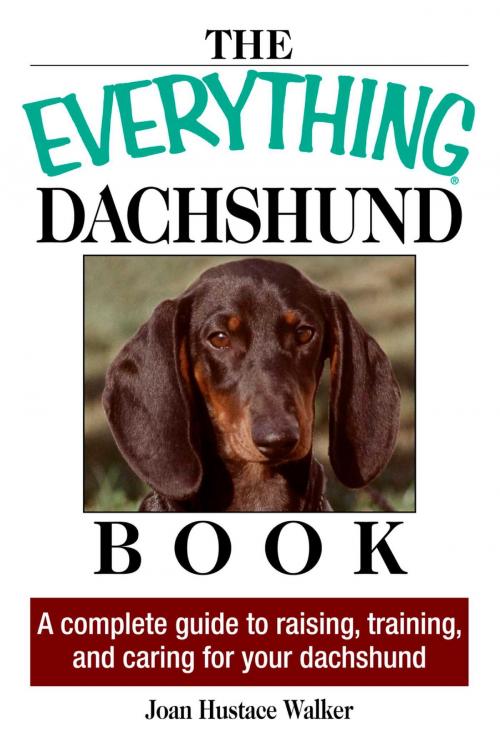 Cover of the book The Everything Daschund Book by Joan Hustace Walker, Adams Media