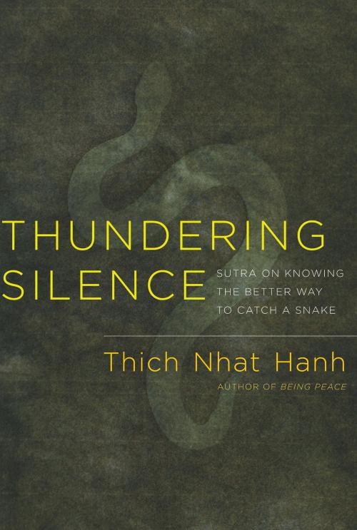 Cover of the book Thundering Silence by Thich Nhat Hanh, Parallax Press