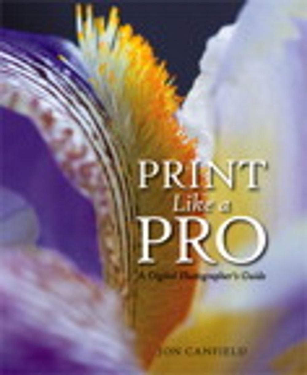 Big bigCover of Print Like a Pro