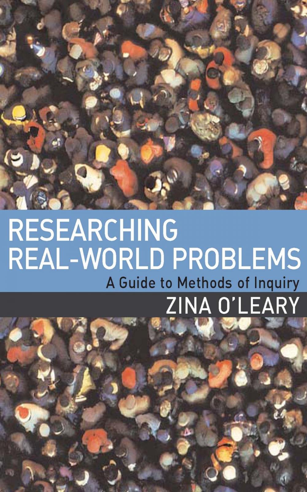 Big bigCover of Researching Real-World Problems