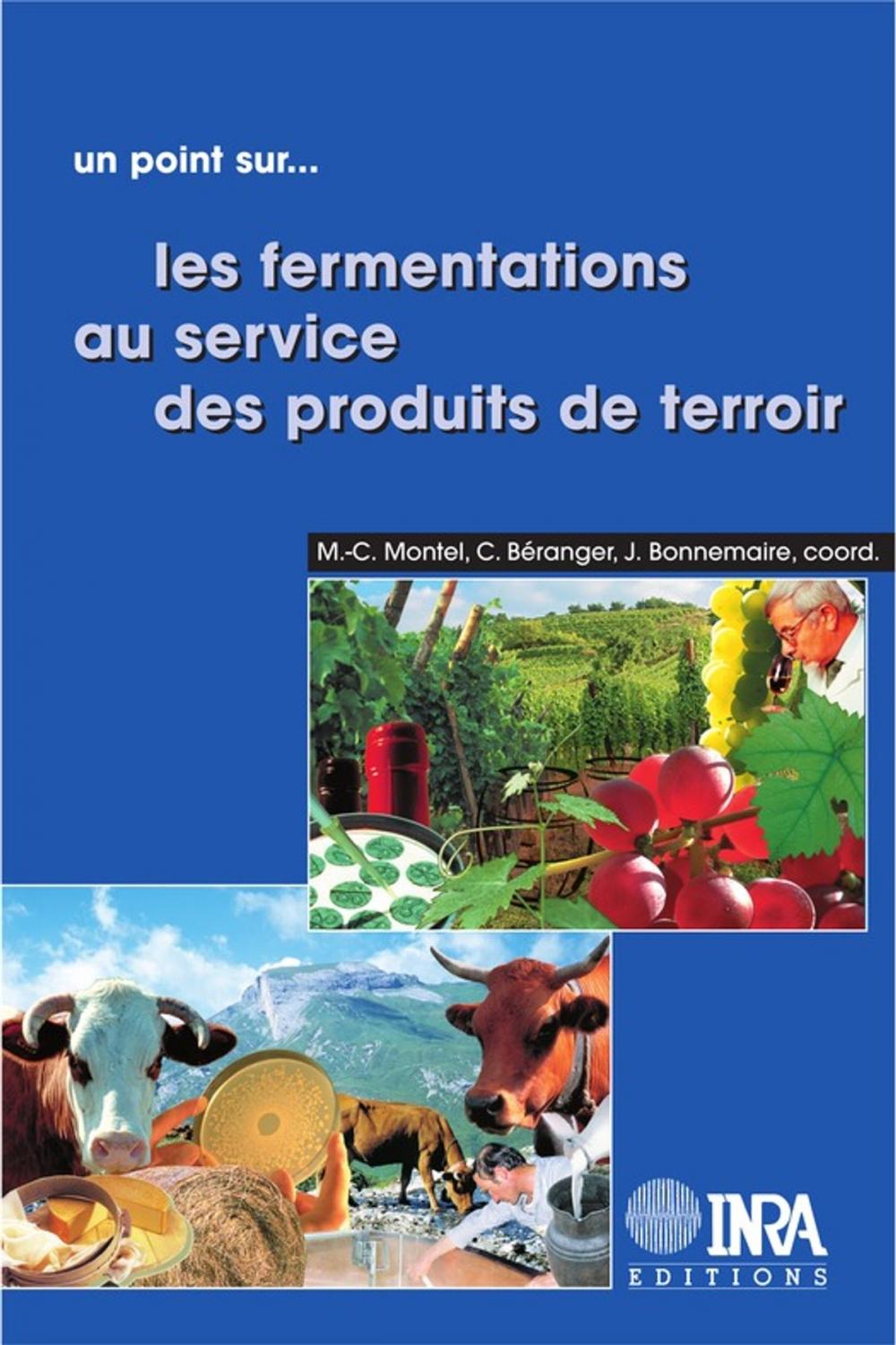 Big bigCover of Les fermentations au service des produits de terroir