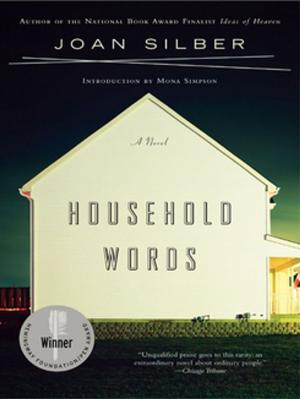 Cover of the book Household Words: A Novel by Diane de Simone