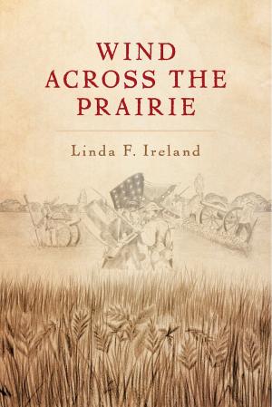 Cover of the book Wind Across the Prairie by Davd  Soul