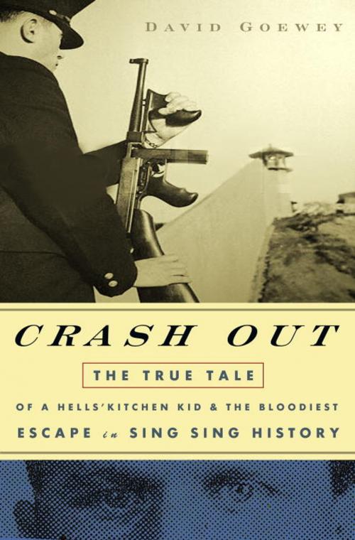 Cover of the book Crash Out by David Goewey, Crown/Archetype