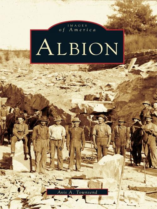 Cover of the book Albion by Avis A. Townsend, Arcadia Publishing Inc.